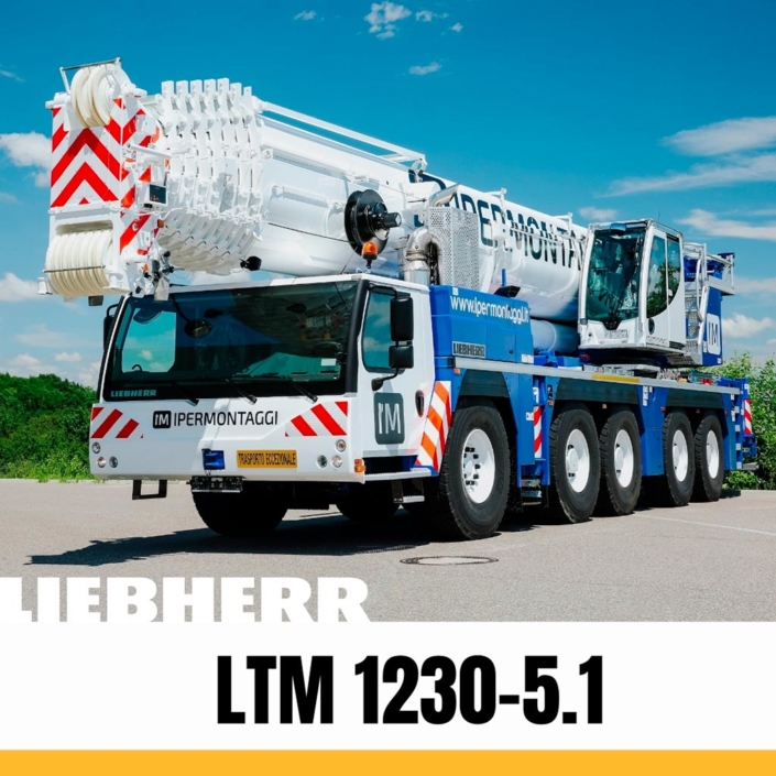 Liebherr LTM 1230-5.1 autogrù